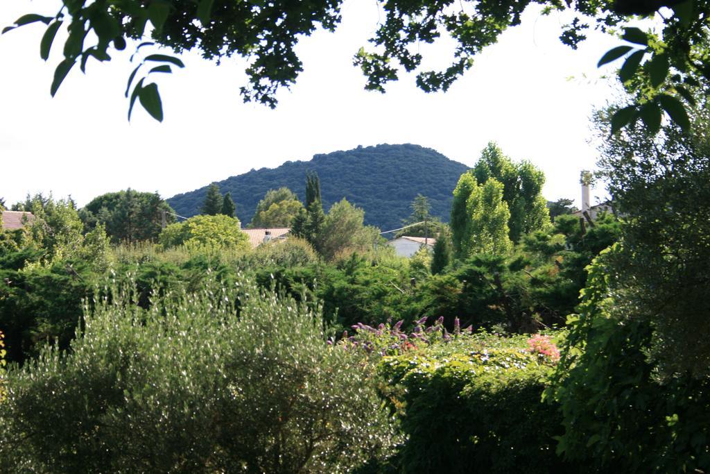 Villa La Figalie Saint Jean du Pin Exterior foto